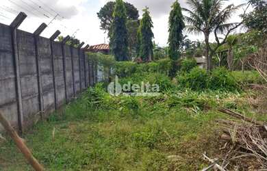 Imagem 7: Chácara Residencial disponível para Venda no bairro Panorama em Uberlândia-MG