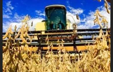 Imagem 4: VENDO FAZENDA 400 HECTARES LAVOURA SUL DE GOIAS 6217