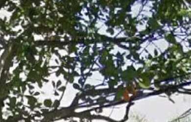 Imagem: O depósito possui 1 Vaga na garagem e 40m² de Área e está