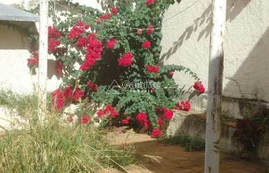 Imagem 9: Casa - Cambuí - Campinas