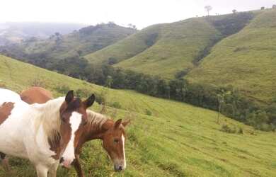 Imagem 1: Fazenda PR aceita permuta