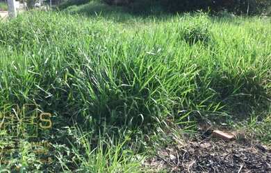 Imagem 3: TERRENO PROXIMO AO MAR. 294m² de Área