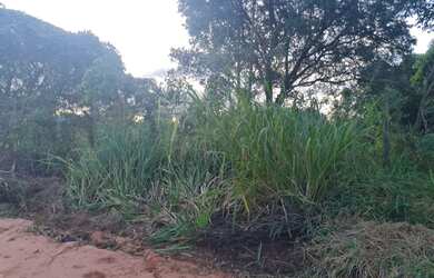 Imagem: A chácara possui 5.000m² de Área, Imóvel novo e está localizado