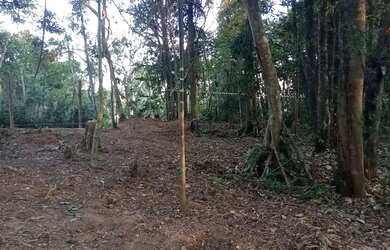 Imagem 3: Terreno. 1.000m² de Área