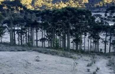 Imagem 2: Terrenos de 20.000m² com vista para a Pedra da Águia em Urubici