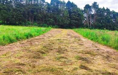 Imagem 12: Lote/Terreno para venda tem 500 metros quadrados em Jardim Japão Caucaia...