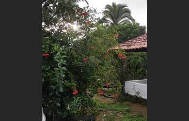 Imagem 12: Fazenda. Varanda