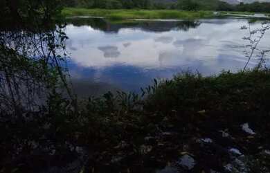 Imagem 5: Fazenda com rio em Iaçu-BA