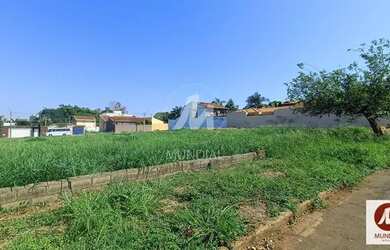 Imagem: O depósito possui 330m² de Área e está localizado em Alto