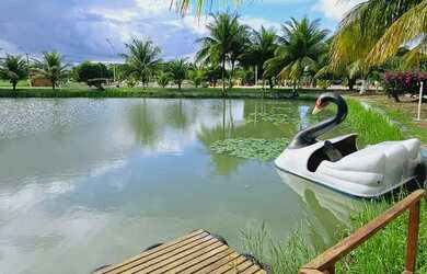 Imagem 13: Aluguel de Casa por DIÁRIA no Greenville