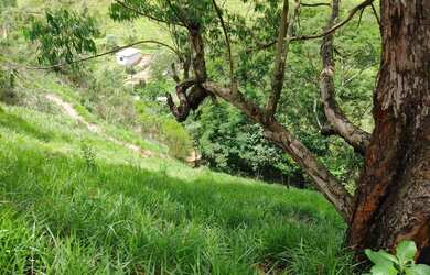 Imagem 2: Terreno 5x30 escritura e matrícula registrada em cartório