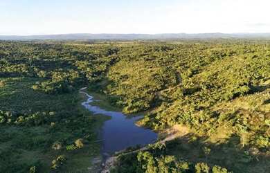 Imagem: A fazenda possui 400m² de Área e está localizado em Goiás