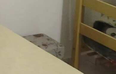 Imagem 11: Apartamento para fim de ano próximo da praia cidade praia Grande