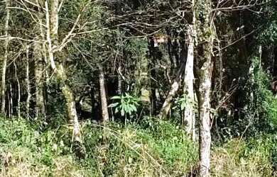 Imagem: O terreno possui 364m² de Área e está localizado em Nova