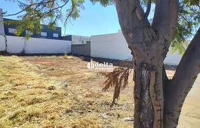 Imagem 5: Terreno disponível para venda no bairro Novo Mundo em Uberlândia-MG