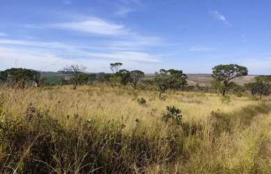 Imagem 5: Fazenda à venda, 969200 m² por R$ 6.000.000 - Serra Do Salitre - Serra...