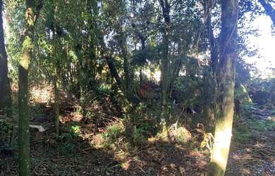 Imagem 4: Terreno à Venda em Canela