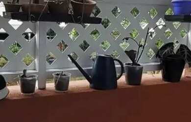 Imagem 5: Viva a experiência de morar em um excelente apartamento no Jardim Têxtil,...