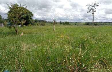 Imagem: A fazenda possui 62m² de Área e está localizado em Jaru