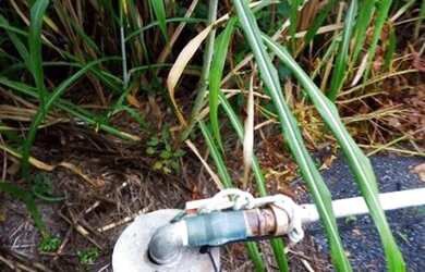 Imagem 1: Vendo terreno fazenda. 340.000m² de Área