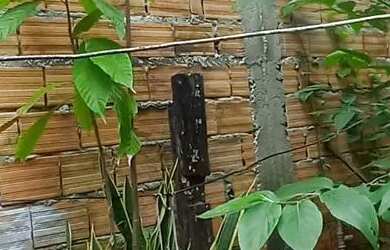 Imagem: O terreno possui 36m² de Área e está localizado em Guanabara