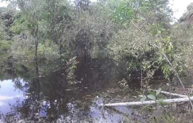 Imagem: O terreno possui 250.000m² de Área e está localizado em