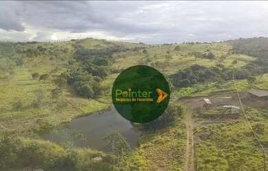 Imagem 5: Fazenda à venda, 72 hectares por R$ 2.500.000 - Zona Rural - Luziânia/GO