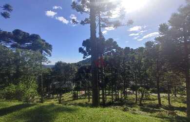 Imagem: O terreno possui 1.738m² de Área e está localizado em Gramado