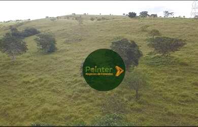 Imagem 7: Fazenda à venda, 72 hectares por R$ 2.500.000 - Zona Rural - Luziânia/GO