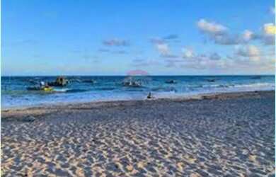 Imagem 11: Terreno Vista Mar em São Miguel dos Milagres, AL