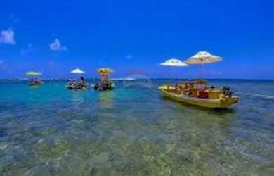 Imagem 10: Terreno Vista Mar em São Miguel dos Milagres, AL