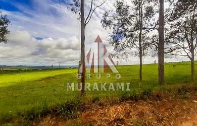 Imagem 9: FAZENDA - MARECHAL CANDIDO RONDON - PR