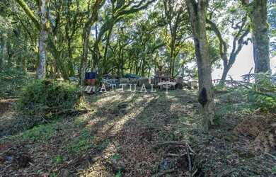 Imagem 6: LINDO TERRENO NO CONDOMÍNIO QUINTA DA SERRA