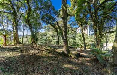 Imagem 7: LINDO TERRENO NO CONDOMÍNIO QUINTA DA SERRA