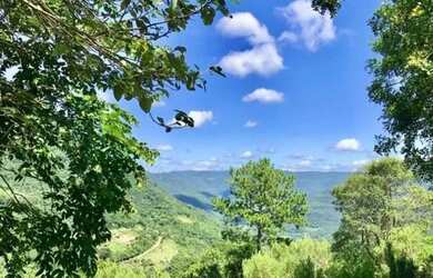 Imagem 7: Sítio / Chácara para Venda em Nova Petrópolis, Linha Pirajá Baixa