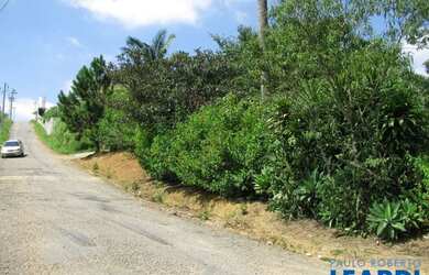 Imagem 2: AREA - LARANJA AZEDA - SP