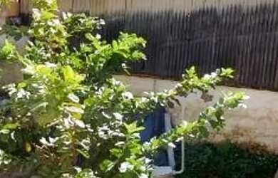 Imagem 6: Salão à venda, 93 m², avenida movimentada, Santa Cruz - Itatiba/SP