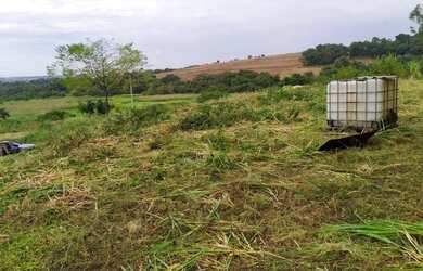 Imagem 3: Chácara 8.000m2 total,útil 3.000m2, Estrada São Domingos, R$ 350.000,00
