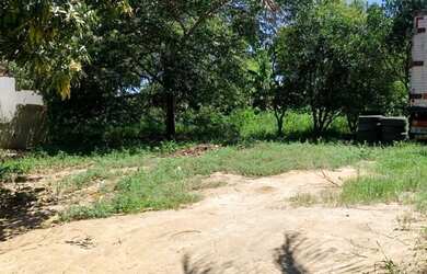 Imagem 16: Casa. Varanda, 1.000m² de Área, 1 Banheiroe3 Dormitórios