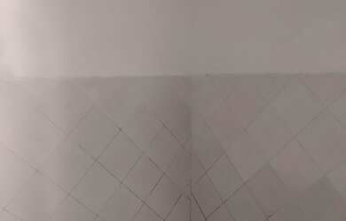 Imagem 2: Casa no pau miúdo