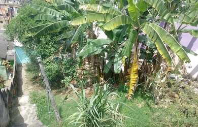 Imagem 15: Terreno à venda no Tucuruvi