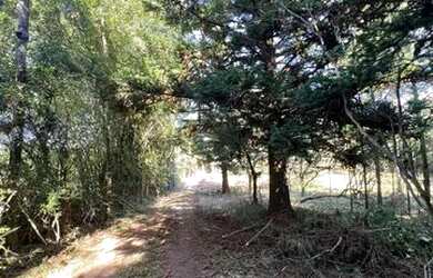 Imagem: A fazenda possui 1.100m² de Área e está localizado em Fazenda