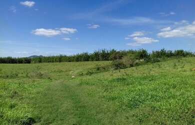 Imagem 5: A RC IMÓVEIS VENDE MARAVILHOSA FAZENDA DE 320 HA PRÓXIMA À BICAS -...