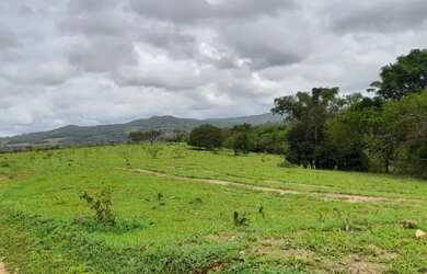 Imagem 2: Fazenda a venda em Davinópolis Goiás