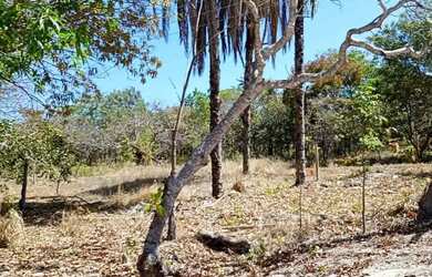 Imagem 10: Fazenda para comprar Zona Rural Três Marias