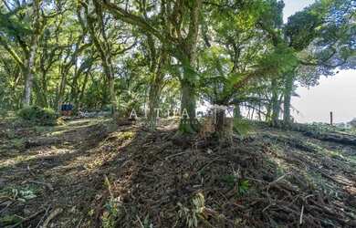 Imagem 5: LINDO TERRENO NO CONDOMÍNIO QUINTA DA SERRA