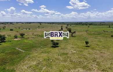 Imagem 5: Fazenda à venda ou arrendamento agrícola em Flores de Goiás