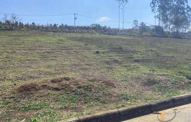 Imagem 6: Lote bairro São Judas Tadeu, Conselheiro Lafaiete MG