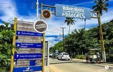 Imagem 14: Terreno Vista Mar em São Miguel dos Milagres, AL