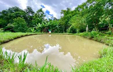 Imagem 9: Oportunidade dos sonhos Sítio em Canela